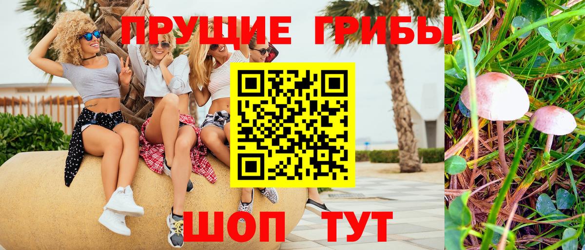 Котлас  Псилоцибиновые грибы GOLDEN TEACHER  Вход с VPN 