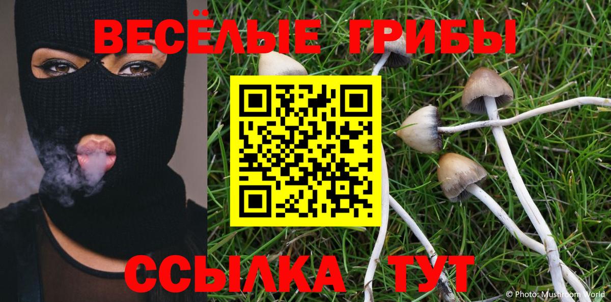 Галлюциногенные грибы мицелий Котлас